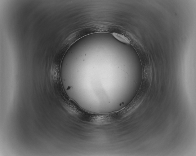 X0000116650092200912141304