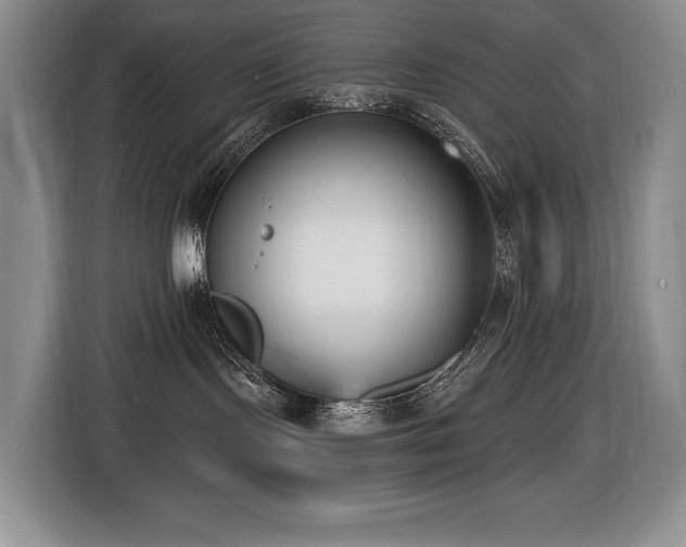X0000116650095200912141304