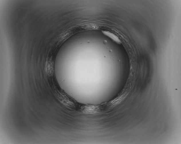 X0000116650096200912141304