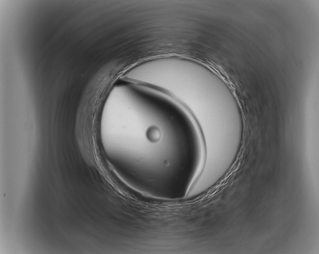 X0000116650097200912141303