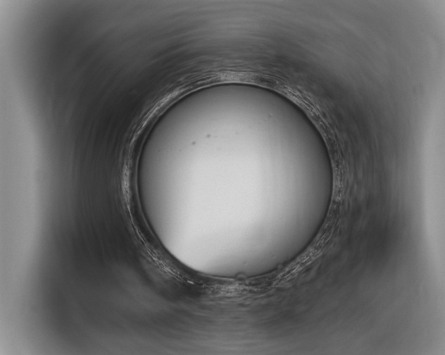 X0000116650098200912141303