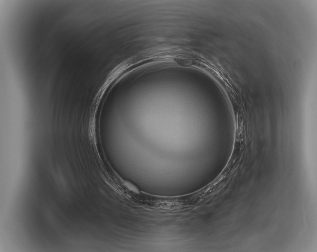 X0000116650099200912141303