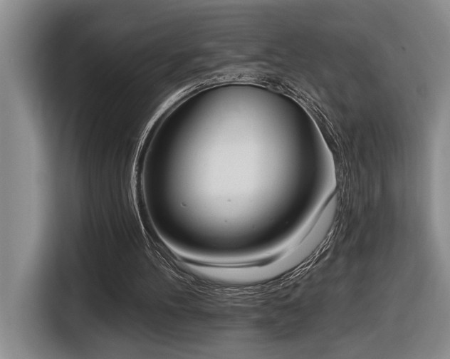 X0000116650100200912141303