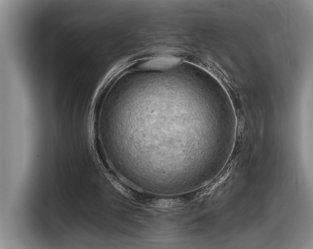 X0000116650101200912141303