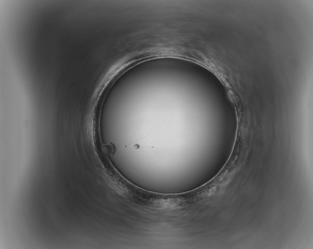 X0000116650103200912141303