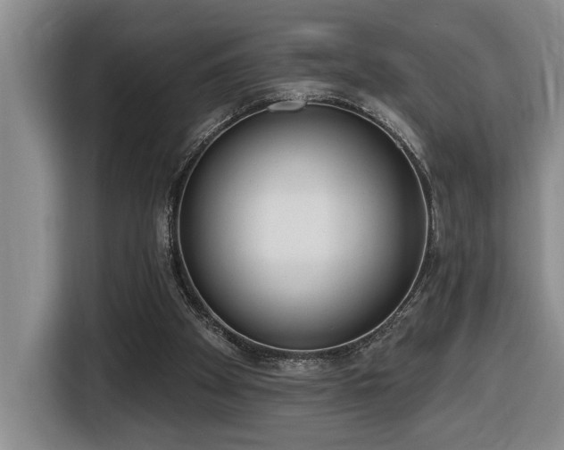X0000116650105200912141303