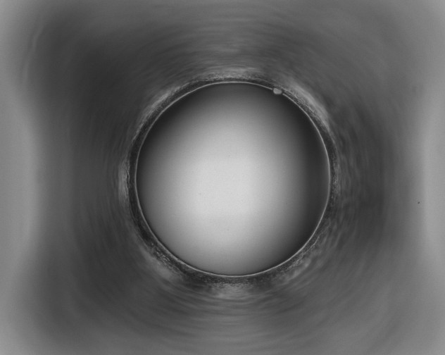X0000116650107200912141303