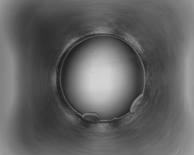 X0000116650108200912141303