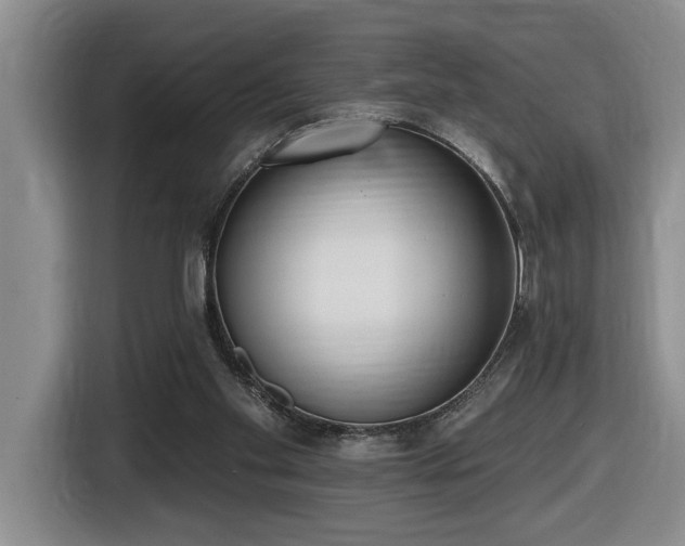 X0000116650109200912141303