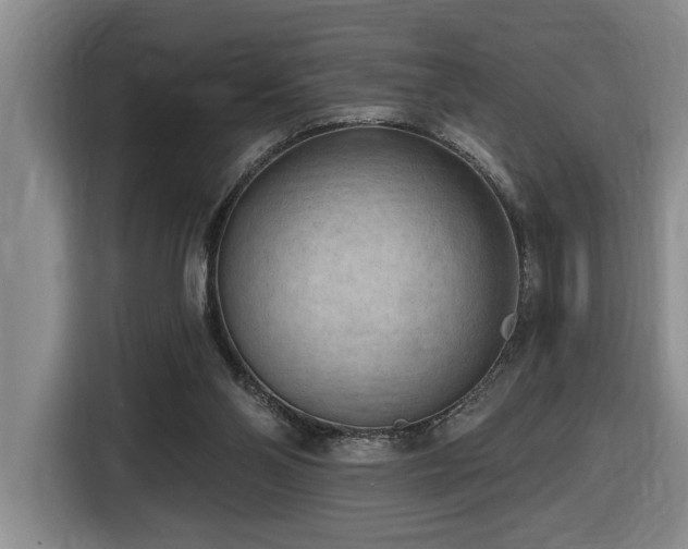 X0000116650110200912141303