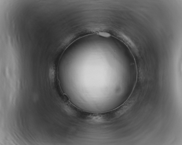 X0000116650113200912141303