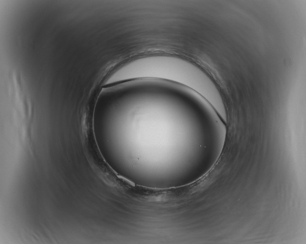 X0000116650116200912141303