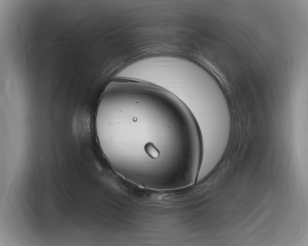 X0000116650117200912141303