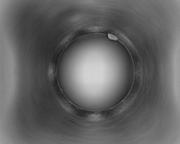 X0000116650119200912141303