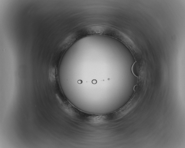 X0000116650122200912141303