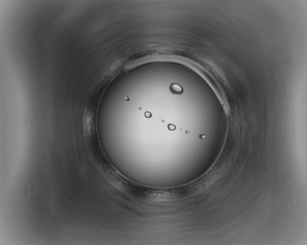 X0000116650123200912141303