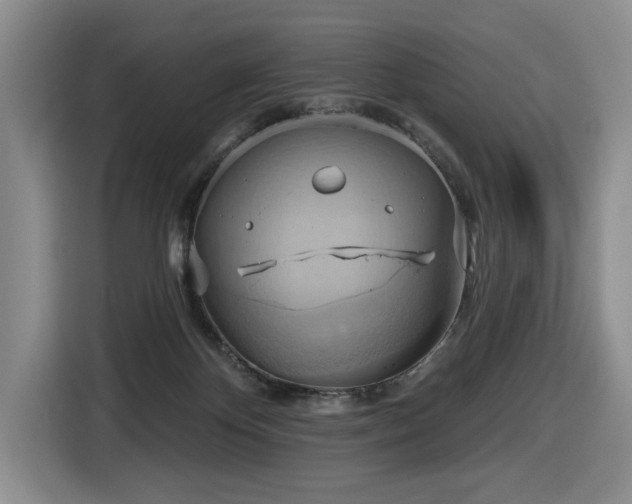 X0000116650124200912141303