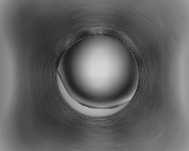X0000116650125200912141303