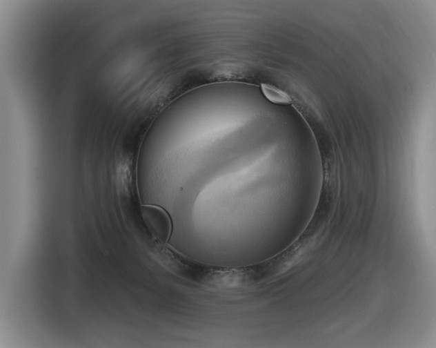 X0000116650127200912141303