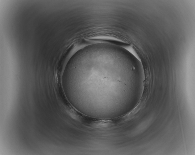 X0000116650128200912141303