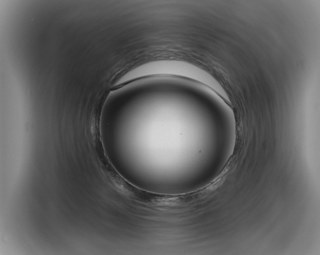 X0000116650132200912141303