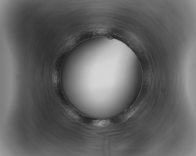 X0000116650135200912141303