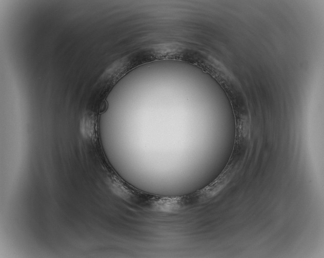 X0000116650138200912141303