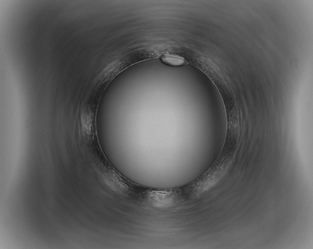 X0000116650139200912141303