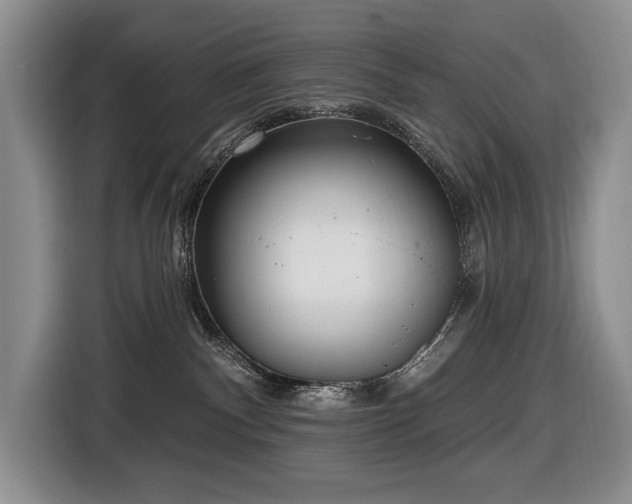 X0000116650140200912141303