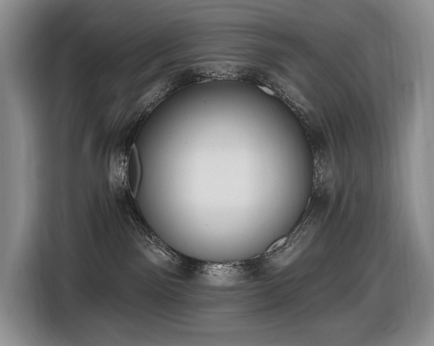 X0000116650141200912141303
