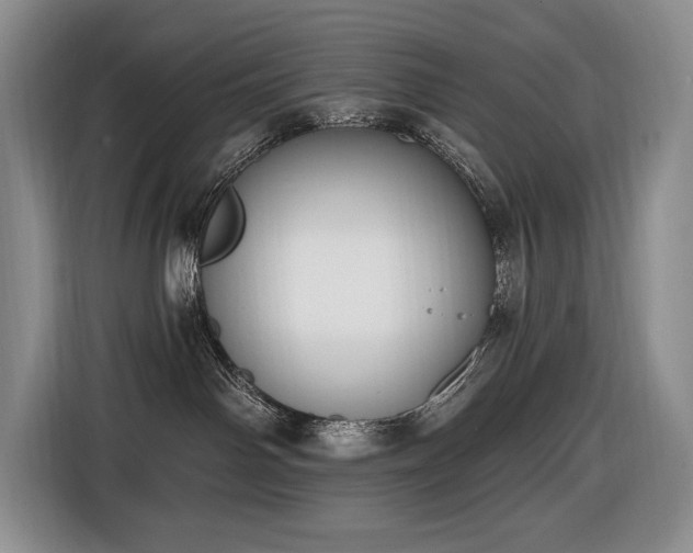 X0000116650142200912141303