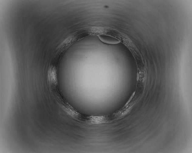 X0000116650143200912141303