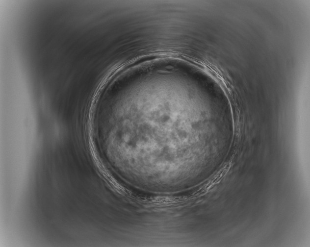 X0000116650145200912141302