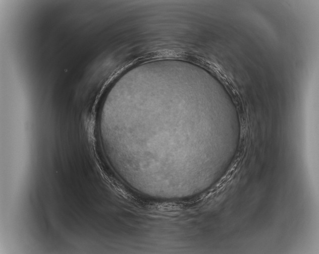 X0000116650146200912141302