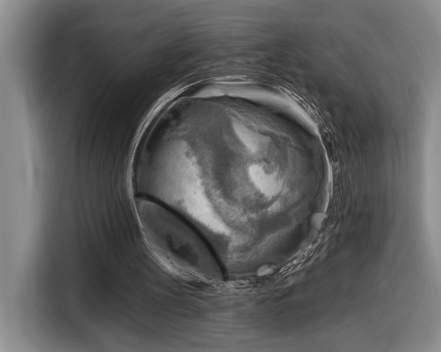 X0000116650147200912141302