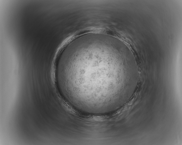 X0000116650149200912141302