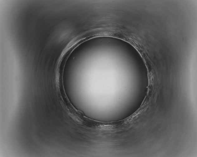 X0000116650150200912141302