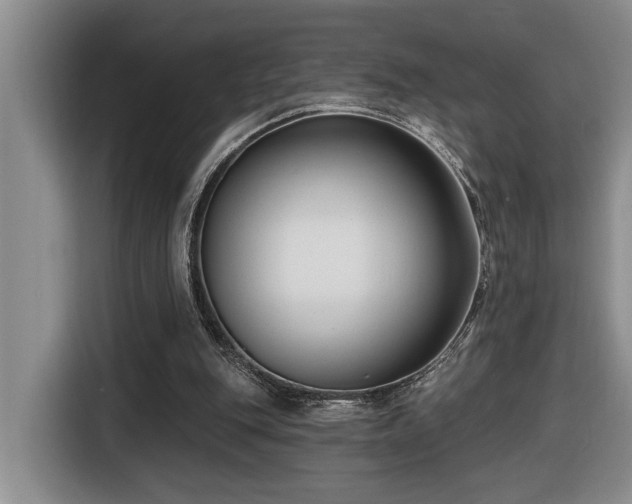 X0000116650151200912141302