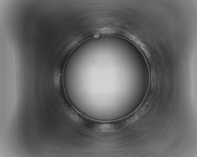 X0000116650153200912141302