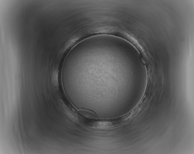 X0000116650154200912141302