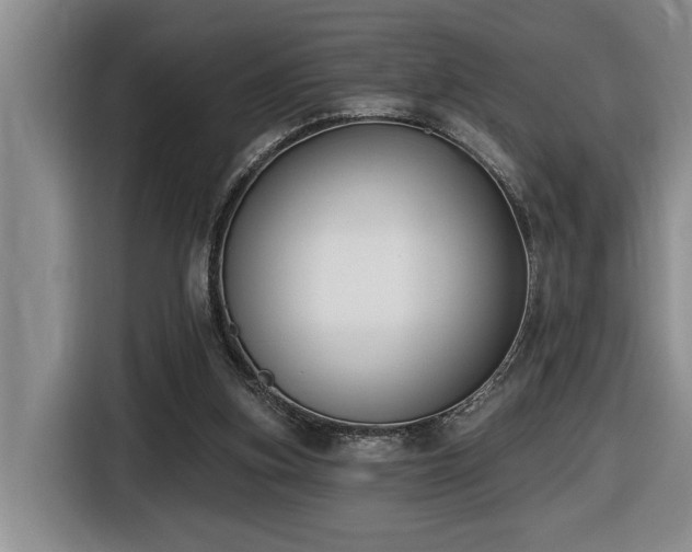 X0000116650155200912141302