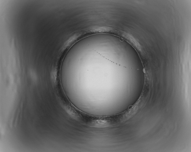 X0000116650159200912141302