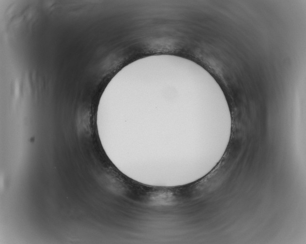 X0000116650162200912141302