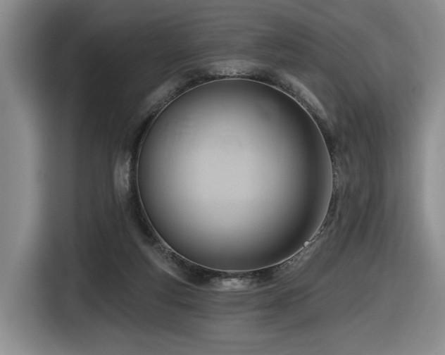 X0000116650163200912141302