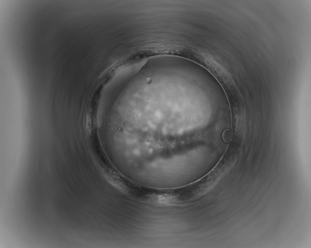 X0000116650165200912141302