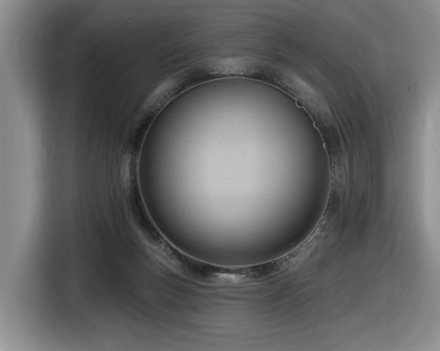 X0000116650167200912141302