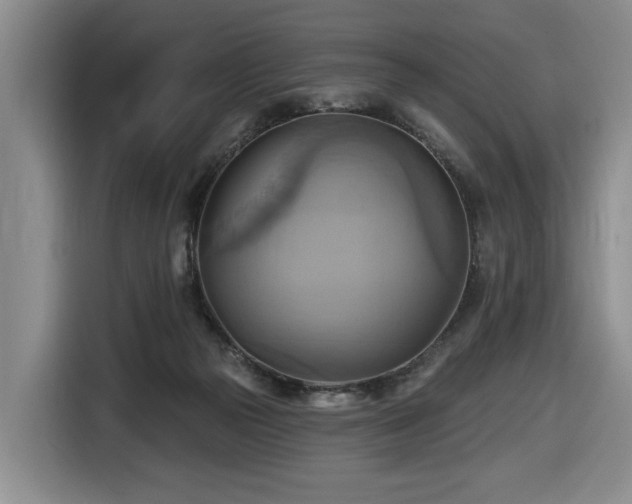 X0000116650169200912141302