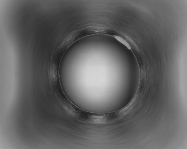 X0000116650170200912141302