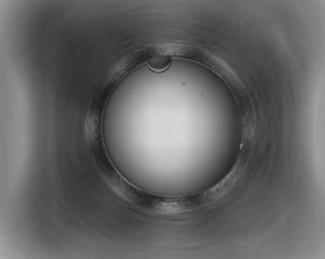 X0000116650171200912141302