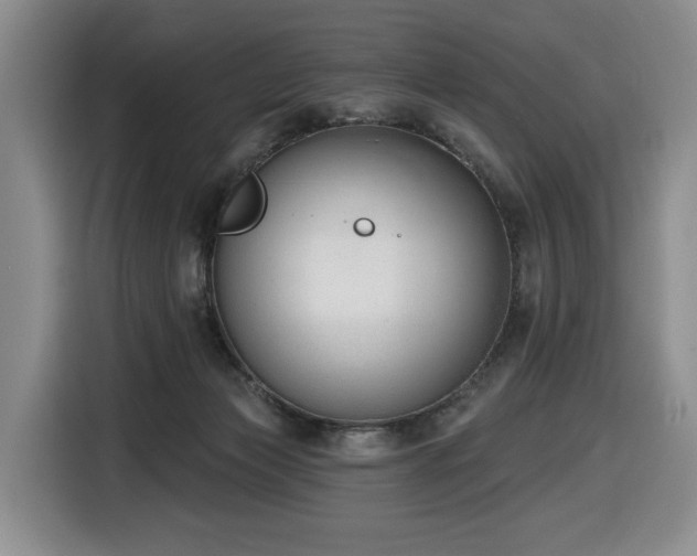 X0000116650173200912141302